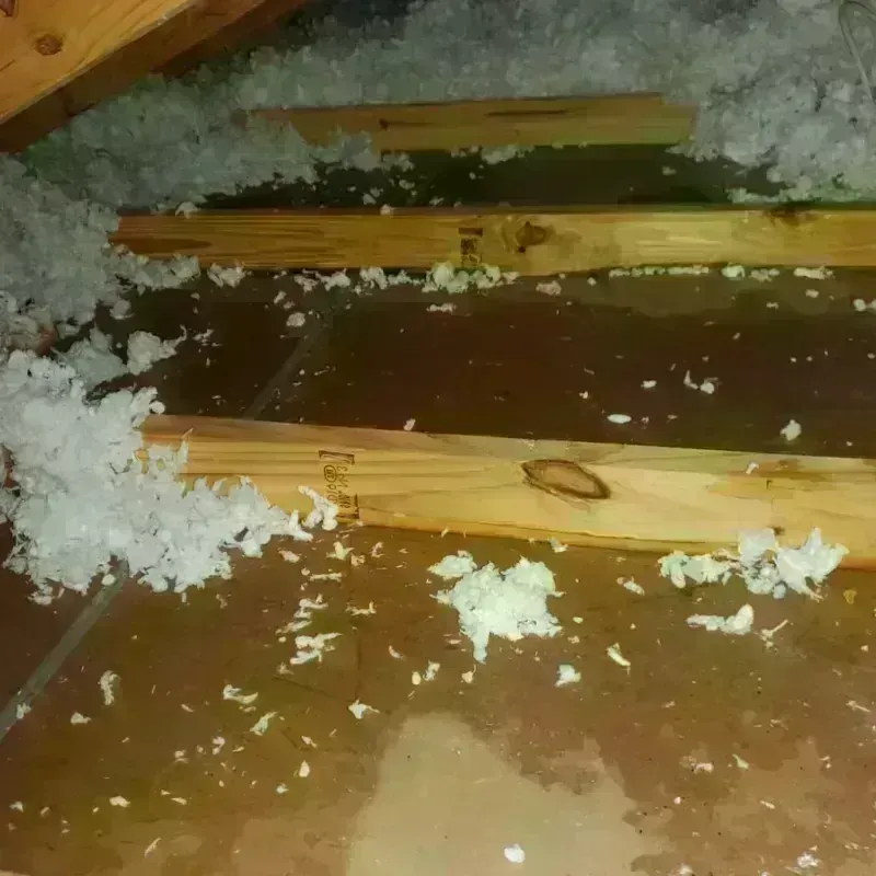 Attic Water Damage in Thief River Falls, MN