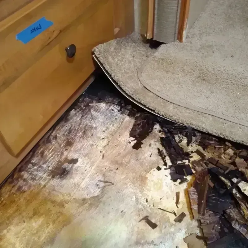 Wood Floor Water Damage in Thief River Falls, MN